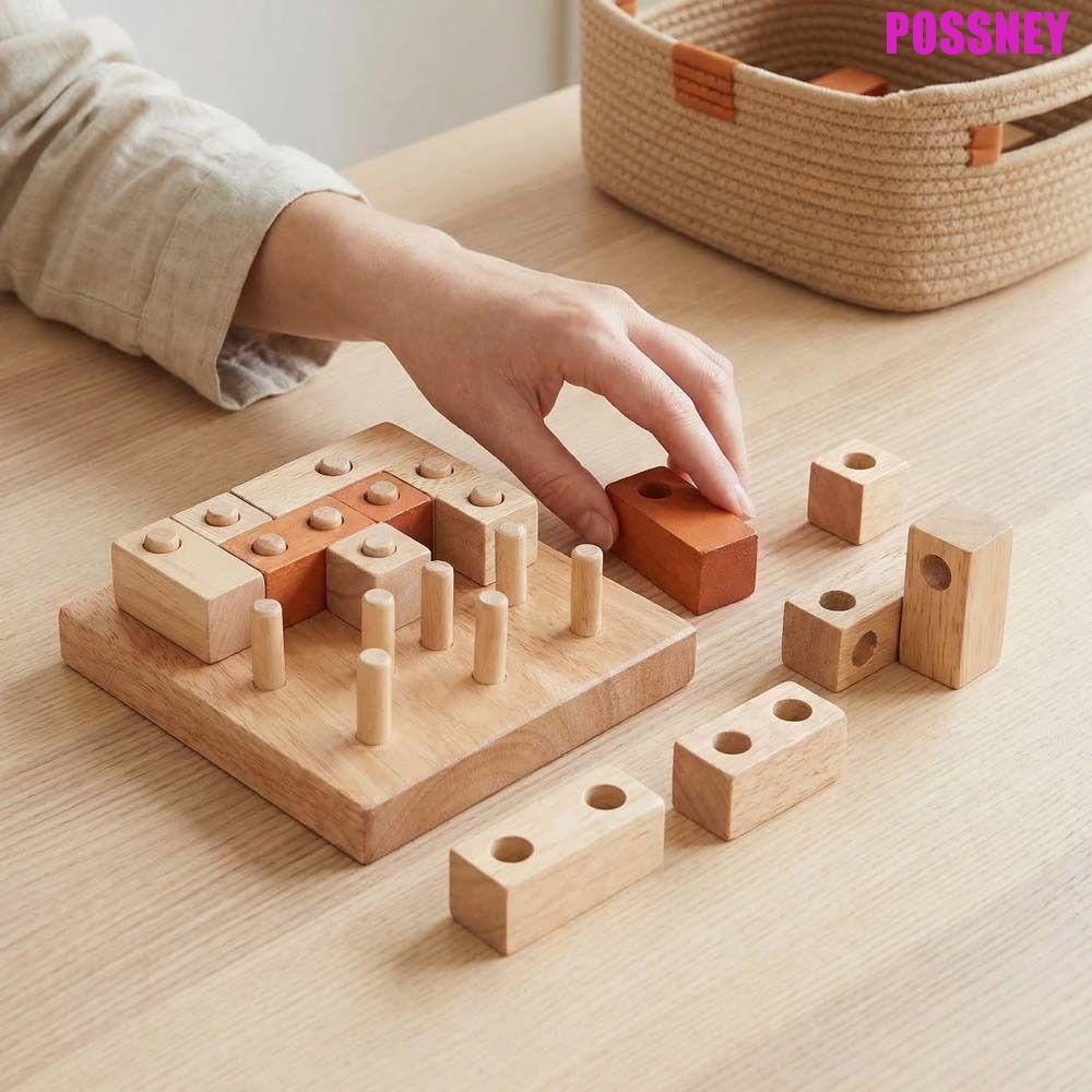 POSSNEY IQ Puzzle Mind Brain Teaser, 3D Educational Geometric Puzzle Game, Building Block IQ Assembl