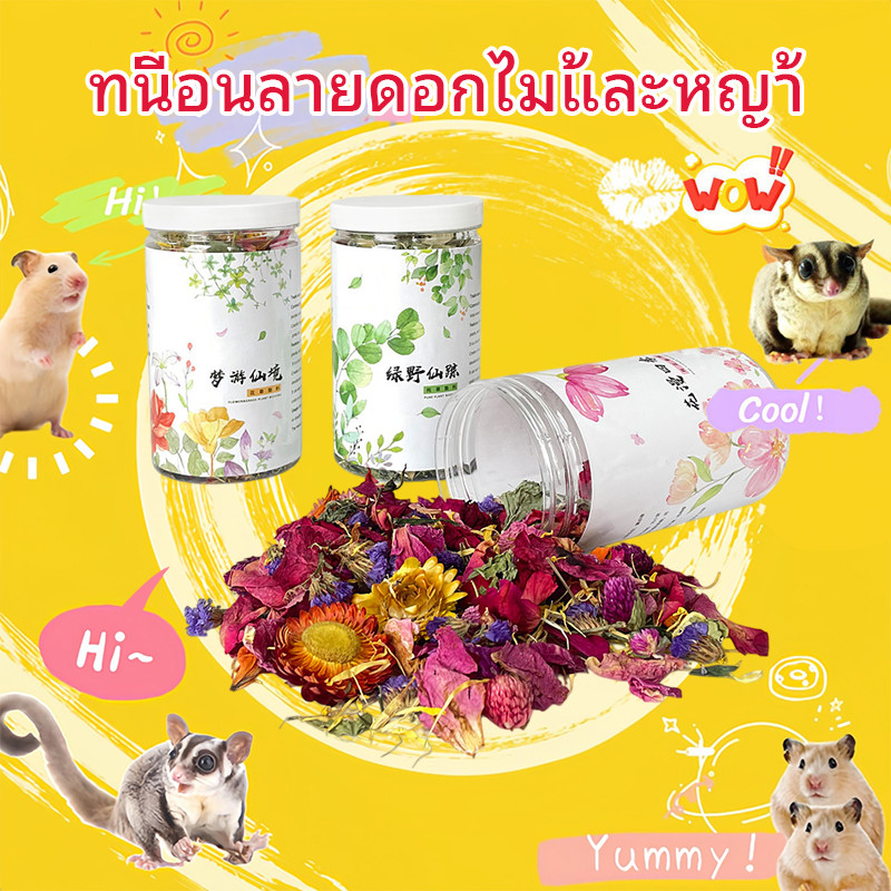 【HAMSTER TRAVEL】ดอกไม้ตกแต่งกรงหนูแฮมสเตอร์ ธรรมชาติ 100% ใช้โรยรองกรง เพิ่มสีสันและความน่ารัก ปลอดภัยต่อสัตว์เลี้ยง