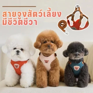 สายจูงสุนัข เสื้อรัดอกสุนัข สายจูงสัตว์เลี้ยง หลายไซส์ ผ้านุ่มไม่ระคายเคืองผิว ใส่สบายไม่รัดตัว เหมาะทั้งสุนัขและแมว