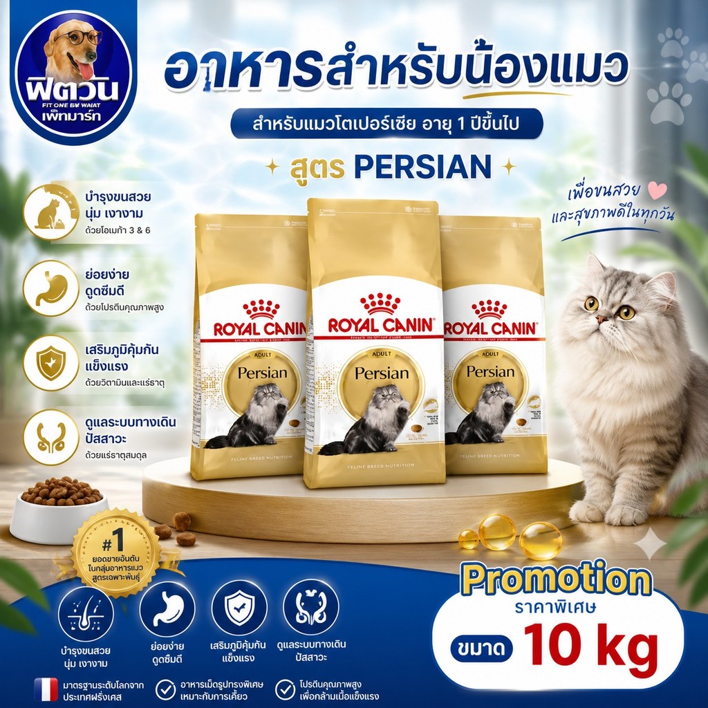 ROYAL CANIN Adult Persian 10kg