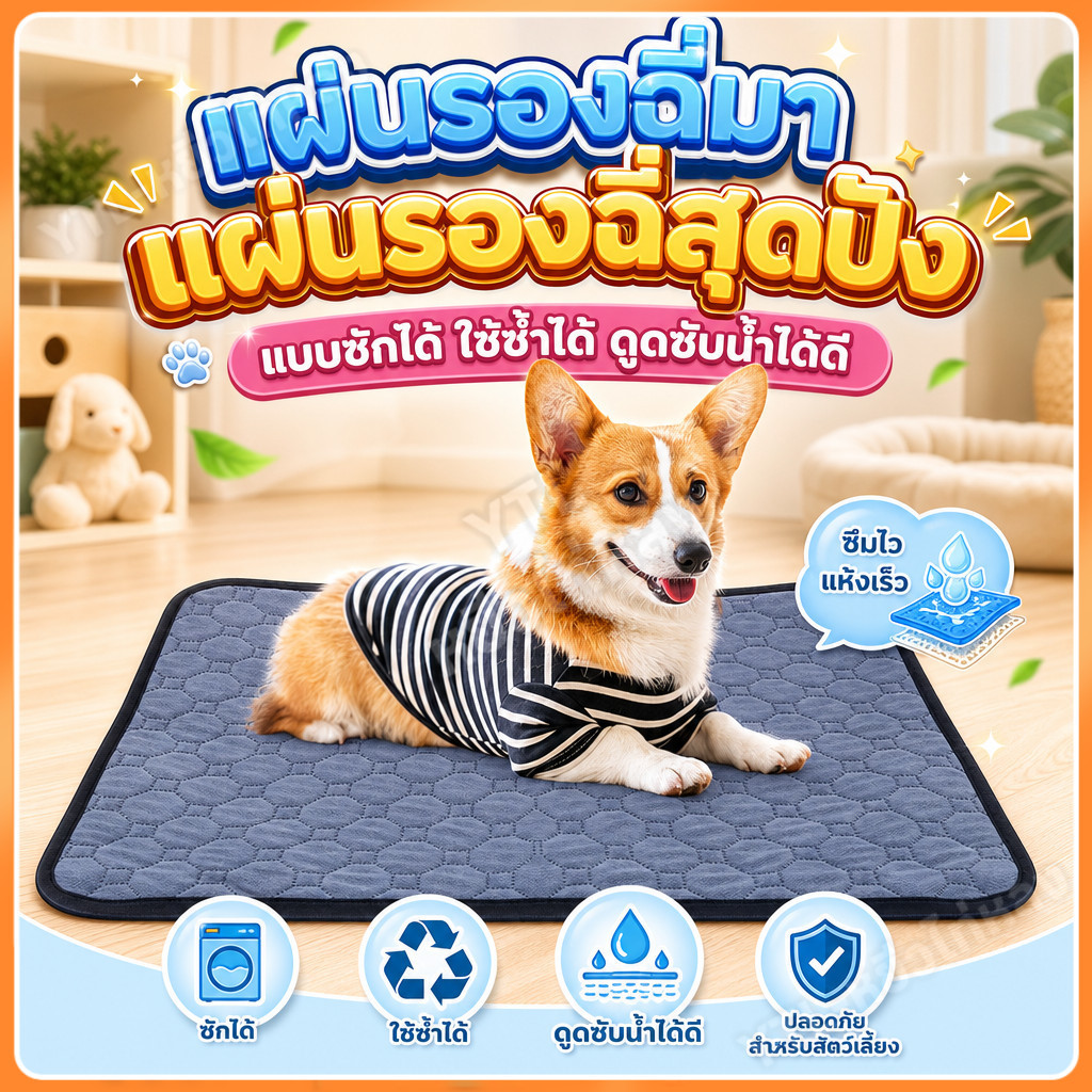 YTL แผ่นรองฉี่หมา แผ่นฝึกขับถ่าย ซึมซับได้ดี ซักได้ แผ่น สามารถใช้ซ้ำได้