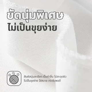 REYE เสื้อกันหนาวชาย 330G ผ้าหนาพรีเมียม ใส่ในออฟฟิศ/ไปเที่ยว คอไม่ย้วย ไม่ร้อน
