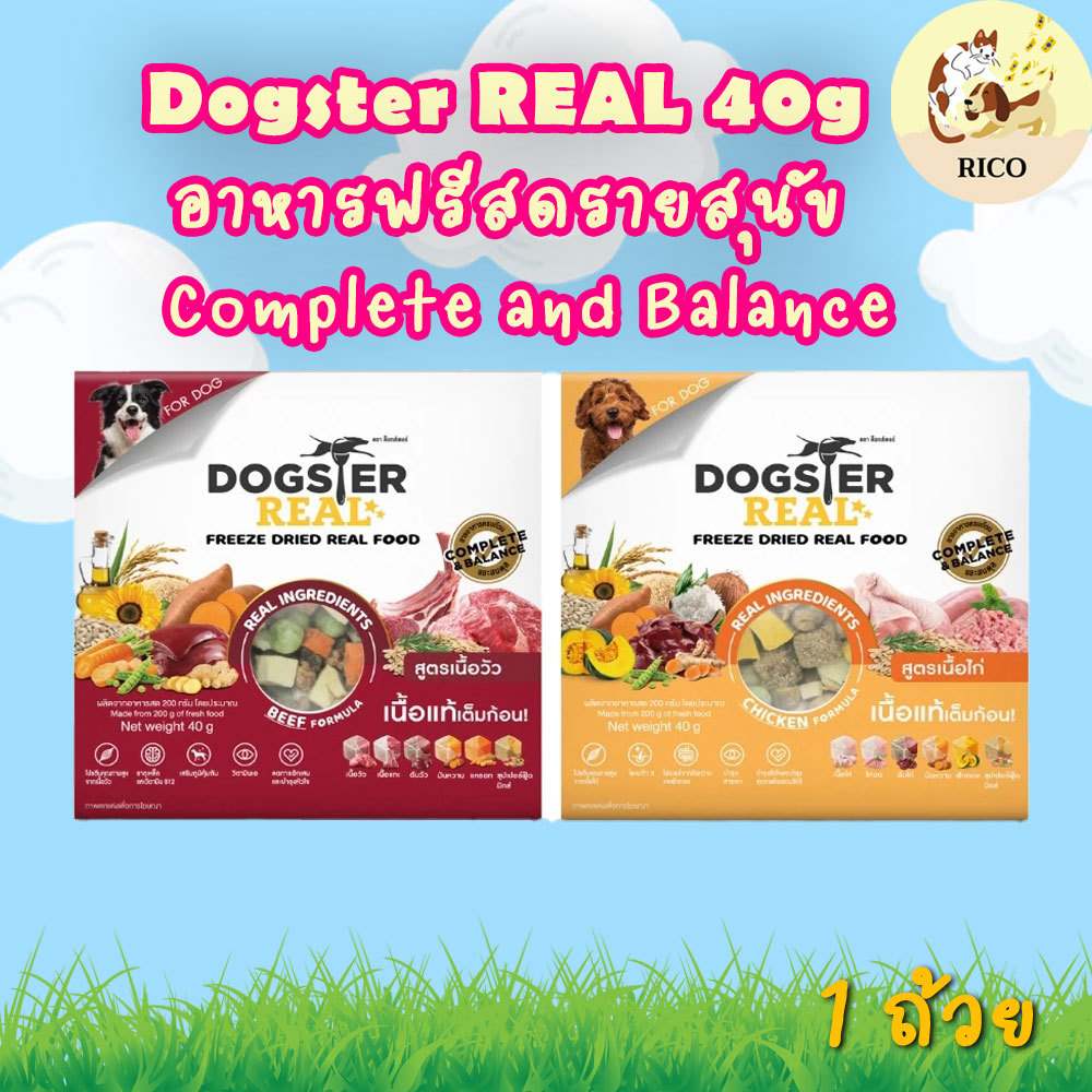 (ถ้วย) Dogster Real ด็อกสเตอร์ เรียล อาหารฟรีซดราย สูตรเนื้อวัว เนื้อไก่ อาหารมื้อหลักสุนัข 40g