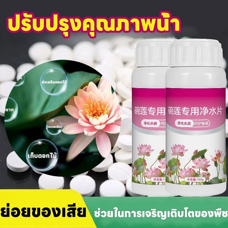 ปุ๋ยบัว บัวทอง ปุ๋ยดอกบัว ปุ๋ยไม้น้ำ สูตรเร่งดอก 100 เม็ด ให้มีขนาดใหญ่ สีสด กลีบหนา ออกดอกทั้งปี ปลอดภัยต่อสัตว์น้ำ