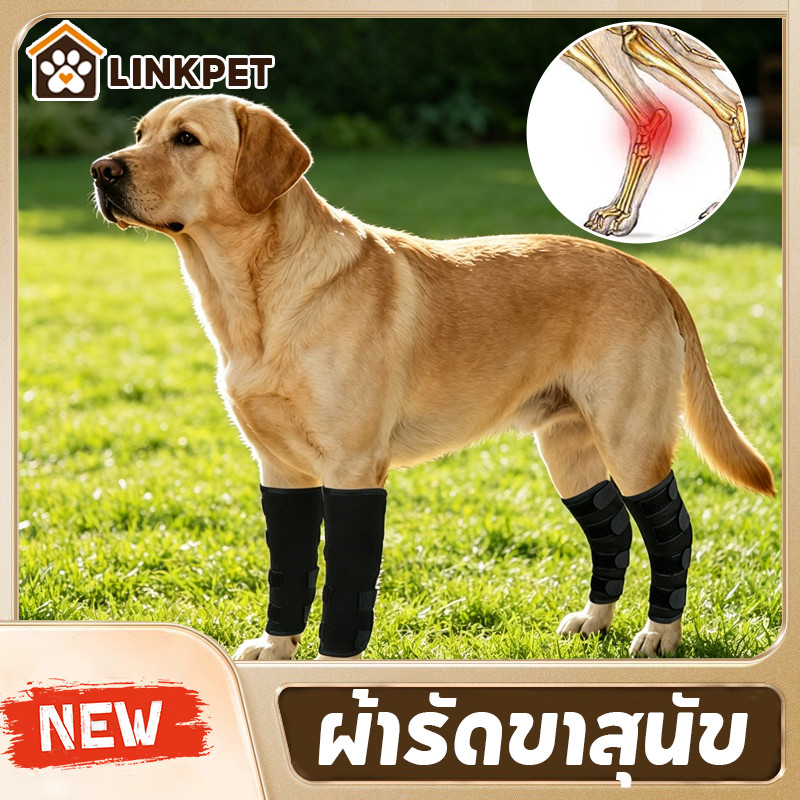 ผ้ารัดขาสุนัข แบบยาว หลายขนาด ดามขาสุนัข เฝือกอ่อน บรรเทาอาการข้อขาอักเสบ ผ้าเบา ระบายอากาศดี