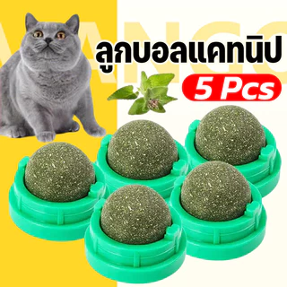 Mango กัญชาแมวหญ้าแมว 5 ชิ้น ลูกบอลแคทนิป กันชาแมว กัญชาเเมว catnip ball แคทนิปบอล ของเล่นแมวเลีย ขนมแมวเลีย ของเล่นแมว