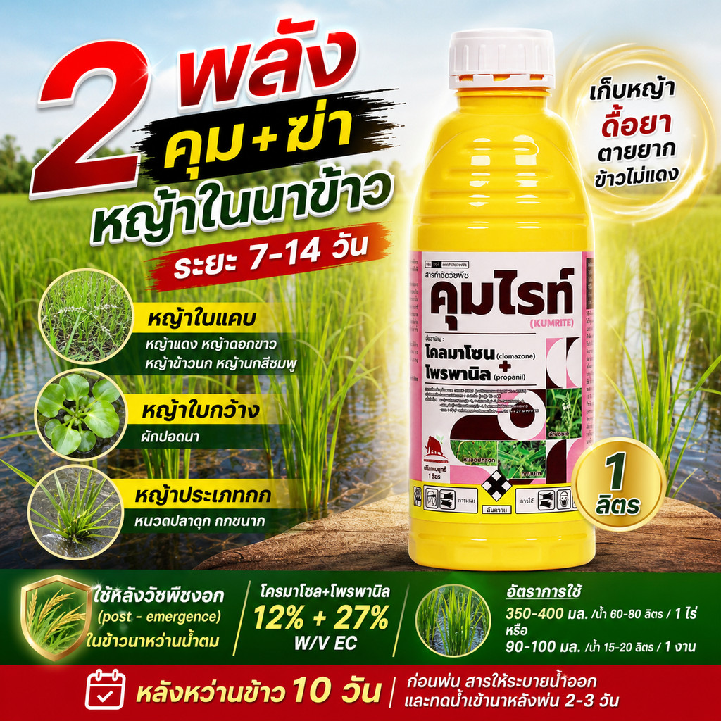 [1ลิตร] คุมไรท์ โคลมาโซน + โพรพานิล  1ลิตร ข้าวไม่แดง ยาคุม-ฆ่า ในนาข้าว  กำจัดหญ้าข้าวนก หญ้าดอกขาว หญ้ากระดูกไก่