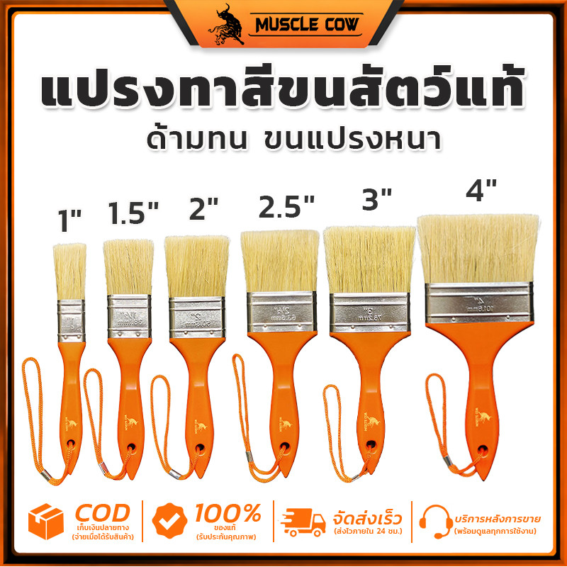 MUSCLE COW แปรงทาสีขนสัตว์แท้ 1-4 นิ้ว ด้ามทน ขนแปรงหนา ไม่หลุดขน ใช้งานทาสีได้เรียบเนียน