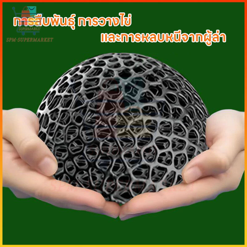 ⚡สต็อกไทย⚡บ้านหลบปลาเล็ก ที่หลบลูกปลา ที่ซ่อนตัวในตู้ กุ้งเล็กปลาเล็ก หลบปลาใหญ่ ตกแต่งตู้ thumbnail 7