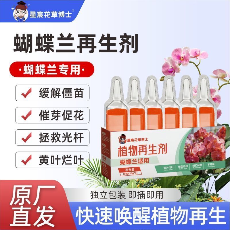 Plant Regenerating Agent Phalaenopsis ดอกไม้พืชสีเขียวสุภาพบุรุษ Orchid Potted Plant Universal Light