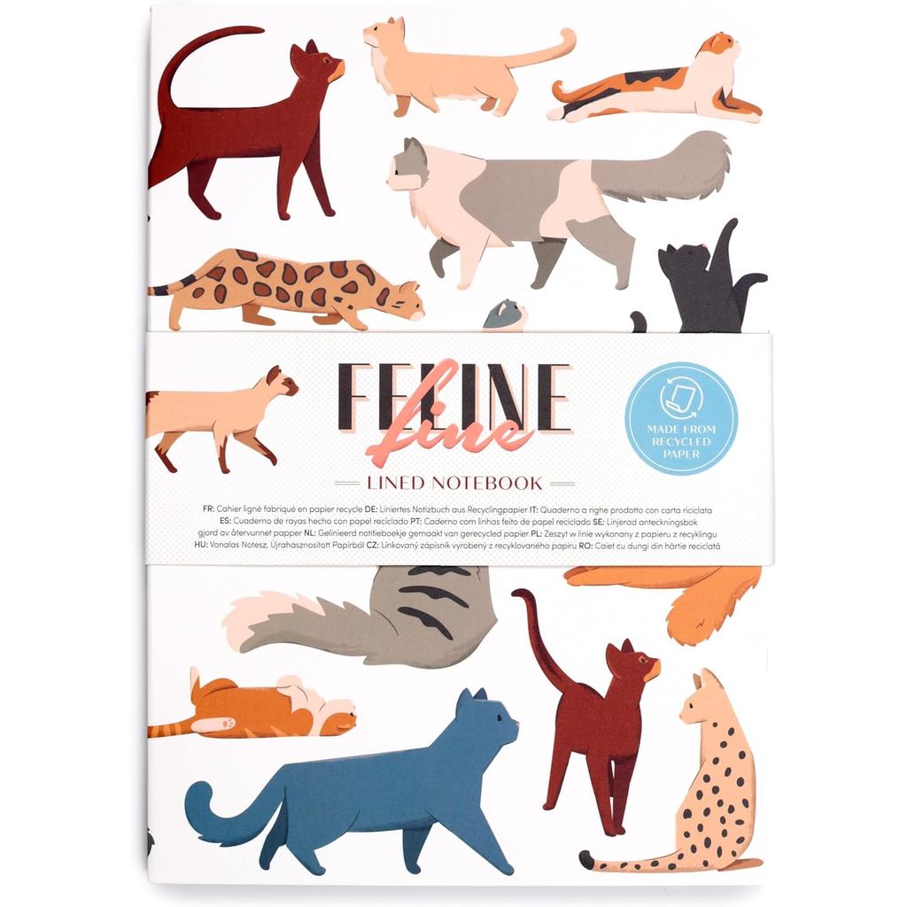 Feline Fine Cats Puckator (ใหม่) สมุดบันทึก Recycled Paper A5