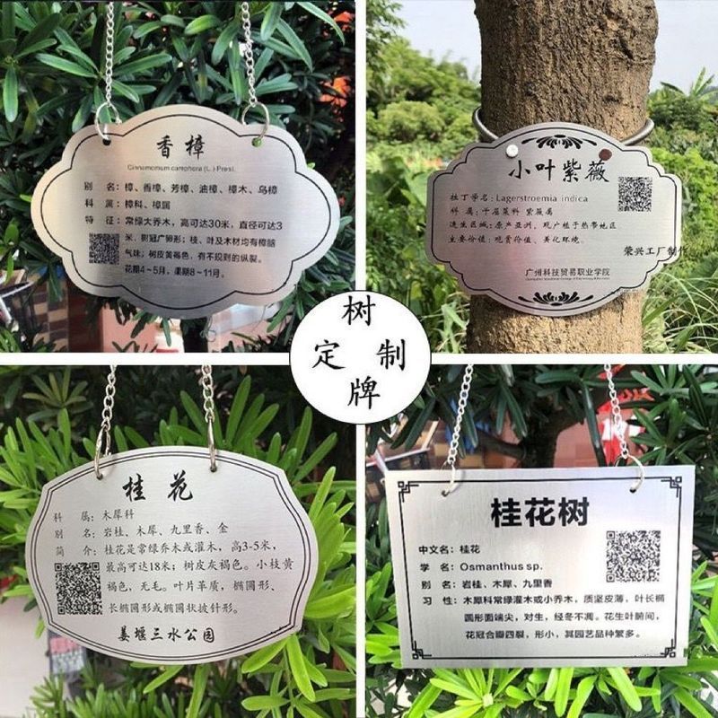【现货】树牌挂牌防水树木标识牌挂树定制不锈钢牌植树节认养悬挂吊牌Flower and grass signs, acrylic tree signs, green signage, tree intr