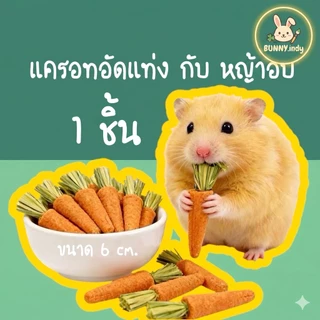 Bunny.indy แครอทลับฟันจิ๋ว 🐹 ขนมแฮมสเตอร์ & กระต่าย อร่อยฟิน เคี้ยวเพลินสุดๆ ✨