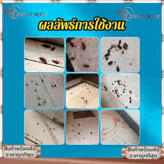 เจลกำจัดแมลงสาบ 30g เจลฆ่าแมลงสาบ ยาฆ่าแมลงสาบ เจลแมลงสาบ Roach doctor กำจัดแมลงสาป ใช้งานง่าย กำจัดแมลงสาบได้รวดเร็ว