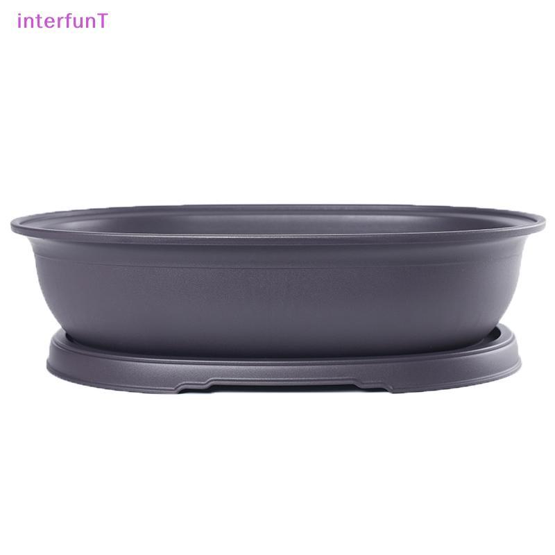 [InterfunT] กระถางดอกไม้พลาสติกเลียนแบบดินสีม่วง s กระถางสวนภูมิทัศน์บอนไซหม้อถาดสี่เหลี่ยมชาวไร่