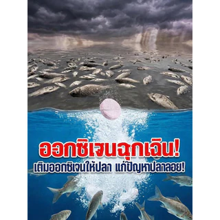 🔥 ซื้อ1แถม1 ✨ ทำความสะอาดล้ำลึก ขจัดคราบฝังแน่น ไวและแรง ประหยัดเวลา ใช้งานง่าย ไม่เหลือคราบ ปลอดภัย ฆ่าเชื้อโรค 1 นาทีมหัศจรรย์ น้ำยาทำความสะอาดประสิทธิภาพสูง สูตรเข้มข้น ใช้ได้ทุกพื้นผิว
