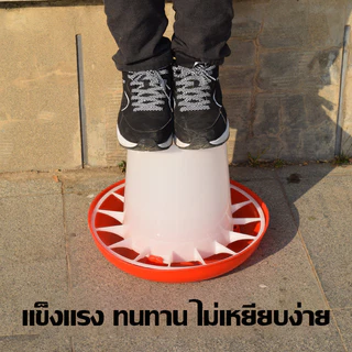 ถังอาหารไก่ ที่ให้อาหารไก่ ถ้วยให้อาหารไก่ ป้องกันไก่เขี่ย