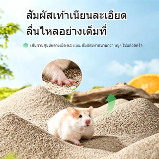 ทรายอาบน้ําหนูแฮมสเตอร์ ทรายแฮมสเตอร์ 2in1 มีประสิทธิภาพในการดับกลิ่น รองกรงหนูแฮมเตอร์ ยับยั้งแบคทีเรีย