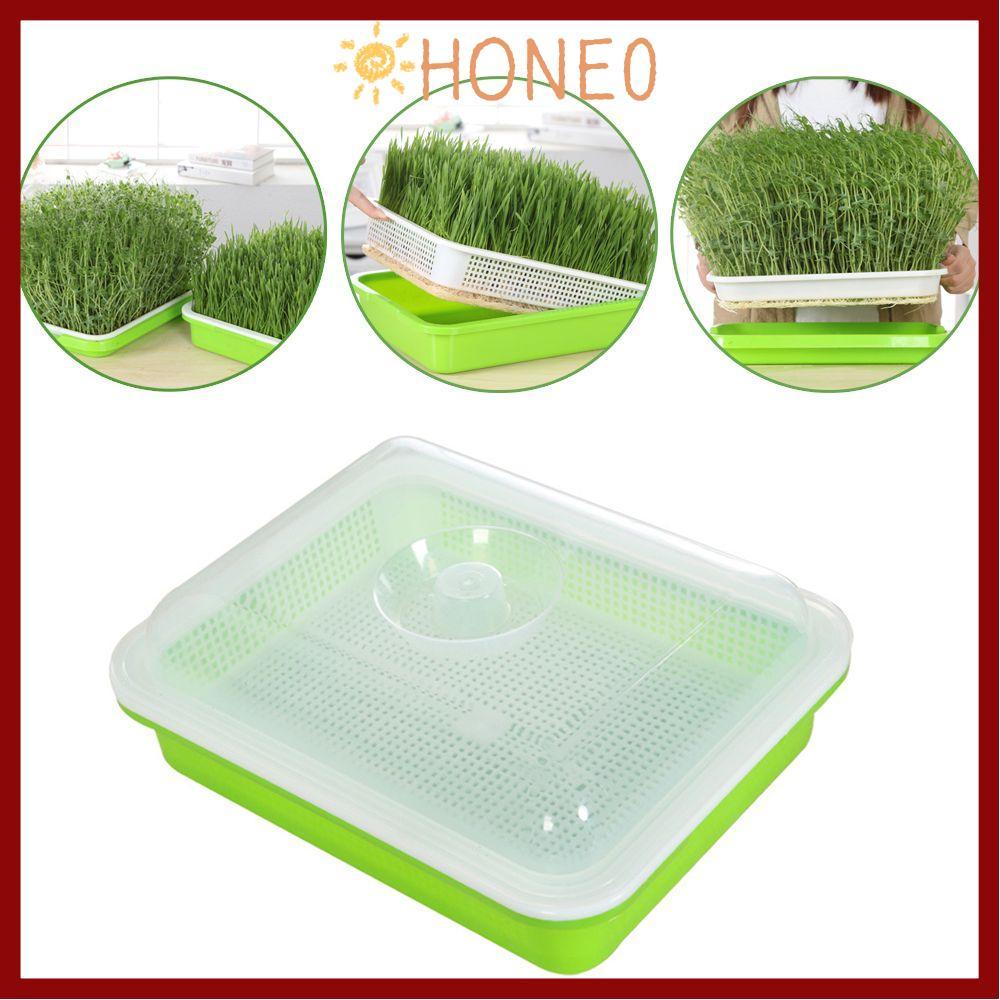 HONE Grow Nursery Pots Home Garden Hydroponic ถาด Soilless Cultivation Sprout Pot