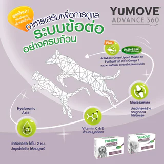 YuMOVE [แท้💯] (ยูมูฟ) อาหารเสริมเพื่อบำรุงสภาวะข้อเสื่อม ข้ออักเสบ ในสุนัขและแมว