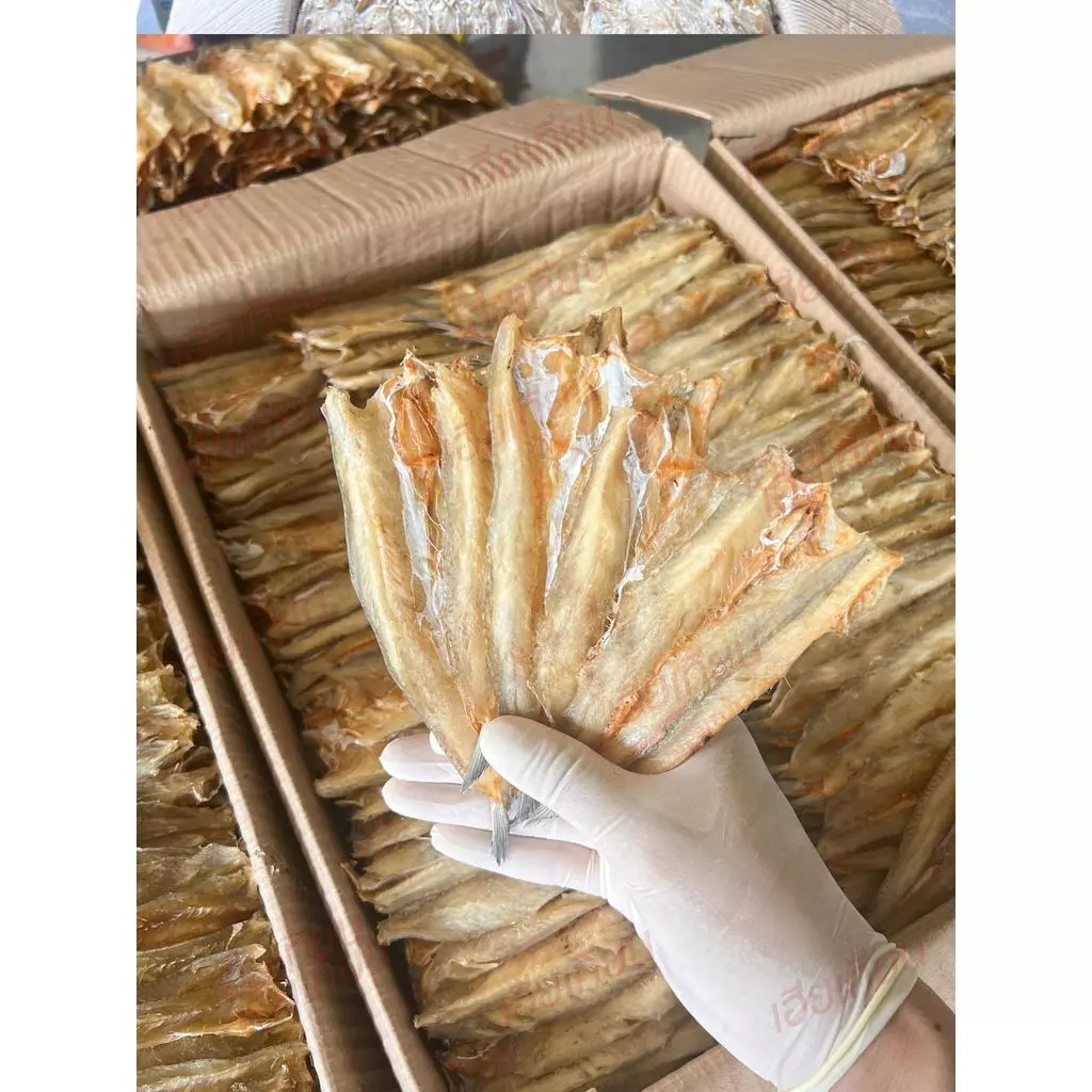ปลาขี่โก๋แห้ง ช่อนเล็ก คัดอย่างดี (เฮียเทียน) 40-50 ตัวต่อกิโล