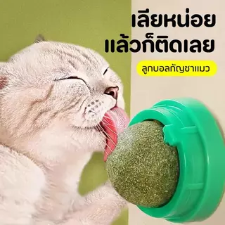 Mango กัญชาแมวหญ้าแมว 5 ชิ้น ลูกบอลแคทนิป กันชาแมว กัญชาเเมว catnip ball แคทนิปบอล ของเล่นแมวเลีย ขนมแมวเลีย ของเล่นแมว
