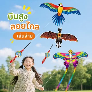 พลาสติกการ์ตูนว่าวคาร์บอนก้านพับของเล่นเด็กเปิดตัวง่ายที่ทําด้วยมือที่ทันสมัยเรียบง่าย