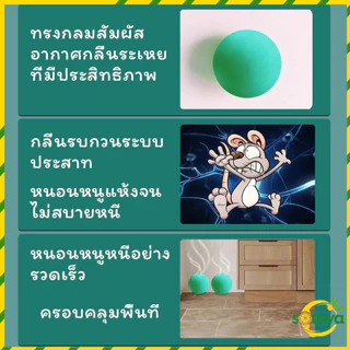 Sotaya ลูกเหม็นไล่หนู ไล่หนู เบือหนู แรงๆ แห้ง 5 เม็ด / 10 เม็ด ต่อถุง Anti Rat Tool