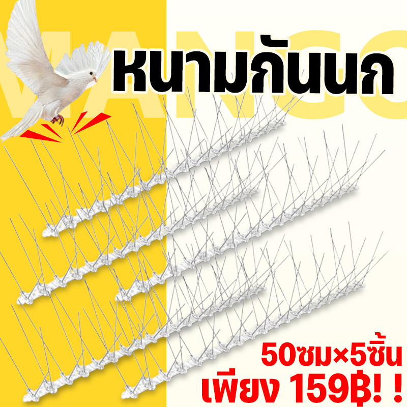 Mango หนามกันนก​ หนามไล่นก​ ​​กิ่งสแตนเลส​ ที่ดักนก กันนกพิราบ Bird Spikes กันนกเกาะ อุปกรณ์ไล่นกทำรัง ทนทาน