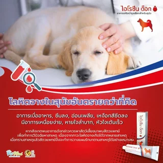 IROSINE CAT & DOG [แท้💯] อาหารเสริมธาตุเหล็กบำรุงเลือด ช่วยกระตุ้นภูมิคุ้มกัน สำหรับสุนัขและแมว