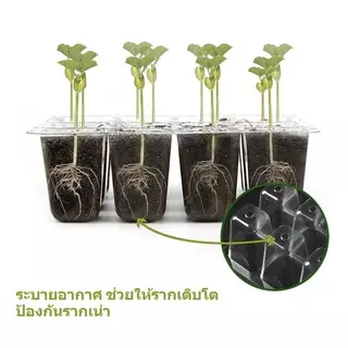 ชุดถาดเพาะกล้า ทรงสูง มีฝาปิดระบายอากาศ ควบคุมความชื้น กระตุ้นงอกเร็ว ปลอดภัยกันแมลง ทนทานใช้ซ้ำ เหมาะปลูกพืชสวนเกษตร