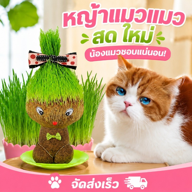 ตุ๊กตาหัวหญ้า หญ้าแมว หญ้าสัตว์เลี้ยง ชุดปลูกต้นอ่อนข้าวสาลี พิเศษกล่องปลูกใช้ซ้ำได้ ปลูกง่าย