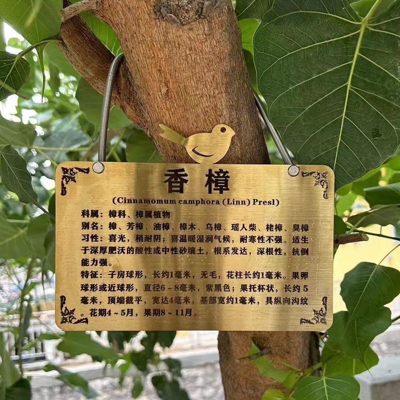【现货】树名牌挂牌树木标识牌定制防水防晒不锈钢牌景区公园介绍吊牌Flower and grass signs, acrylic tree signs, green signage, tree intr