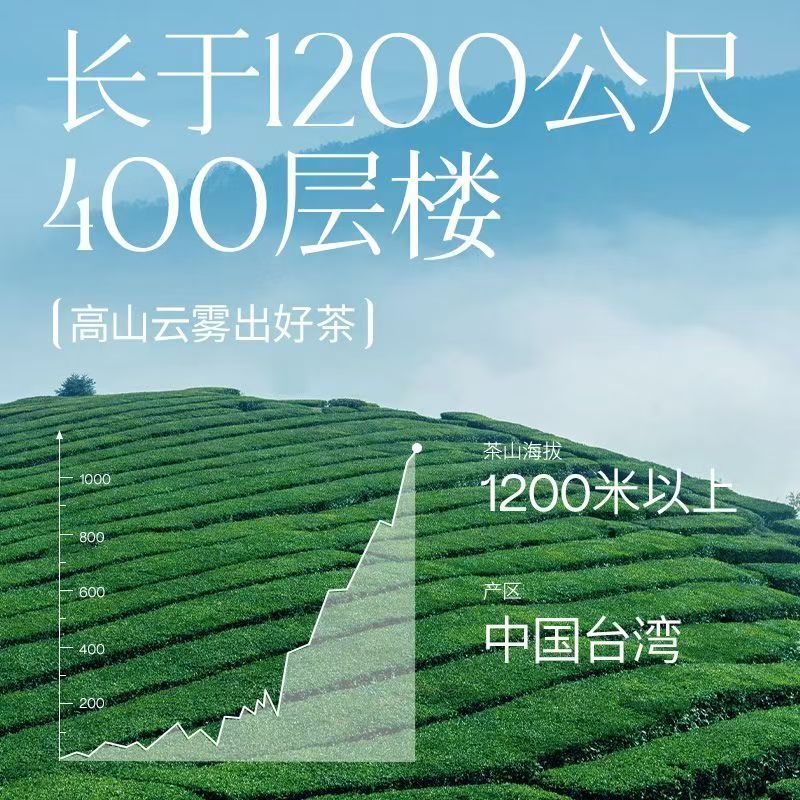 2025 สินค้าใหม่ Jinxuan Oolong Tea ไต้หวันแท้ Alishan Alpine Oolong Tea Milk Fragrance Cold Brew Tea
