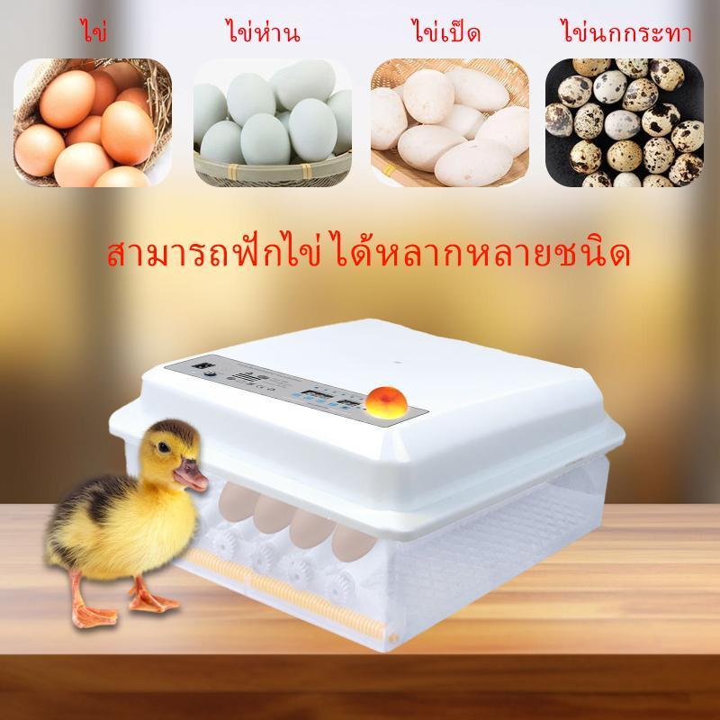ตู้ฟักไข่ ตู้ฟักไข่อัตโนมัติ 16 ฟอง ฟักไข่ไก่ เป็ด ห่าน พลิกไข่อัตโนมัติ ใช้ไฟบ้าน/ถ่าน12V/220V