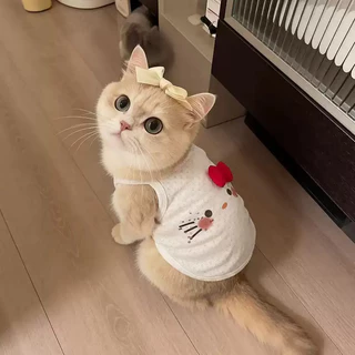 ชุดแมวฤดูร้อน เสื้อหมาน่ารัก ชุดหมาเล็ก โบว์สามมิติ ใส่สบาย ระบายอากาศดีน่ารัก ไซซ์ S/M/L