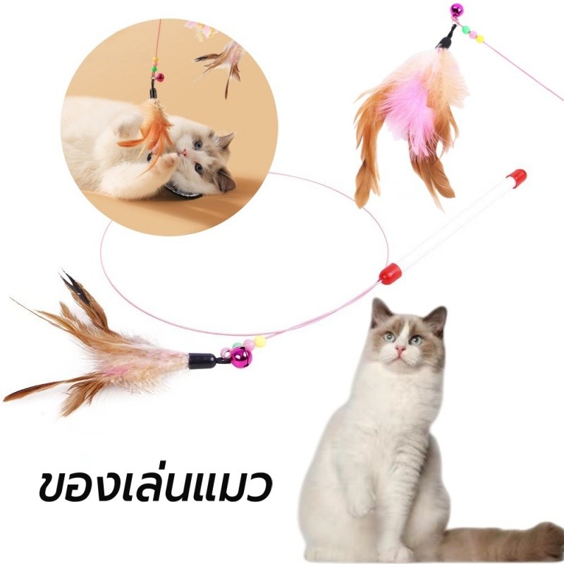 ของเล่นแมว ไม้ตกแมว ไม้ล่อแมว ของใช้สำหรับแมว ขนนก กระดิ่ง cat toys