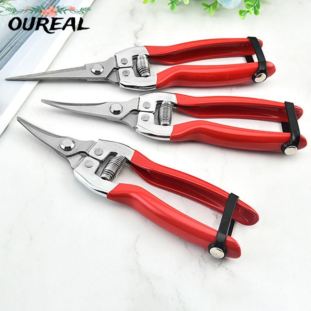 OUREAL 1 ชิ้นต้นไม้ตัดแต่งกิ่งเฉือน,สวนมือ Pruner สวนกรรไกร, Florist กรรไกรเครื่องมือตรง Leaf Trimmer Micro-Tip ตัดแต่งกิ่ง Snips