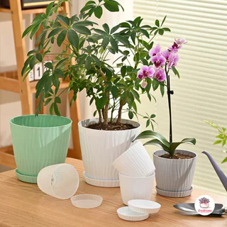 [ LYP ] กระถางลายคลื่นพร้อมจานรอง กระถางพลาสติก แคคตัส กระบองเพชร ไม้อวบน้ำ Cactus&Succulent