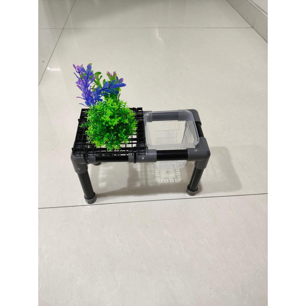 生简约水盆景绿形散植种球支架种包พีวีซี彩色支架พิพิธภัณฑ์สัตว์น้ําเป็นมิตรกับสิ่งแวดล้อมการจัดสวนอินทรีย์มินิมอลคงปลูกตะกร้าสนับสนุน szxycw.my20260511