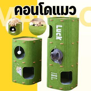 Mango คอนโดแมว 2-3 ชั้น บ้านแมว ดีไซน์ญี่ปุ่น มีรู ปีนเล่นได้ บ้านสัตว์เลี้ยง ขนาดใหญ่ ทนทาน ของเล่นแมวหลายชั้น