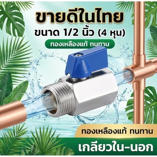 มินิบอลวาล์ว (ผม.) 1/2 นิ้ว (4หุน) ซันวา SANWA Mini Ball Valve (MF) 1/2" (เกลียวนอก-ใน)
