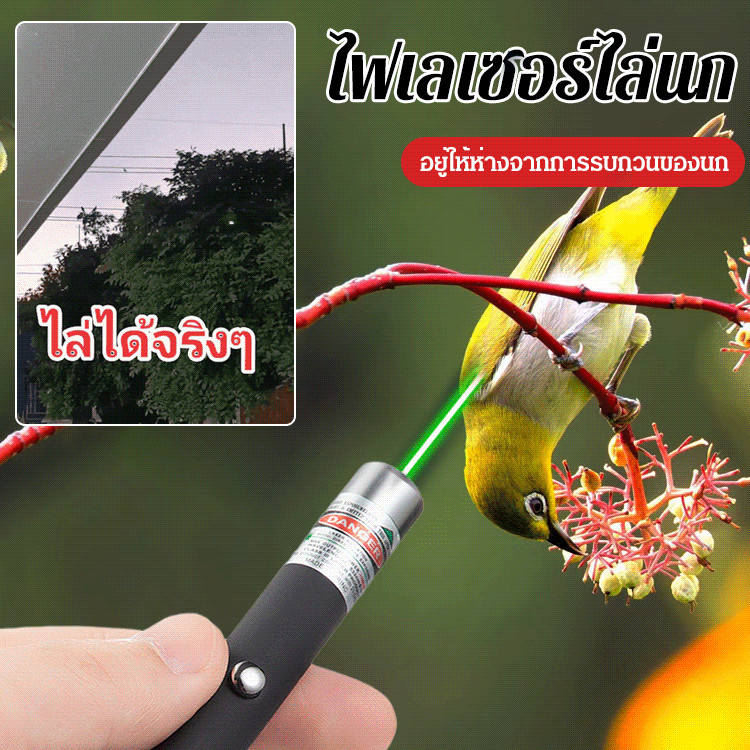 [กรุงเทพฯ]พลังงานสูงพิเศษเลเซอร์ไล่นก ระยะที่ส่องไฟเลเซอร์ไล่นกเลเซอร์แรงสูง แสงเขียวเลเซอร์ ไฟฉายเลเซอร์ เลเซอร์พกพา