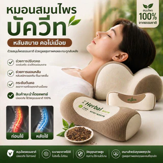 (ของขวัญวันแม่ )หมอนรองคอบัควีทสมุนไพรตามหลักสรีรศาสตร์ป้องกันกระดูกสันหลังส่วนคอสุขภาพหมอนปรับได้