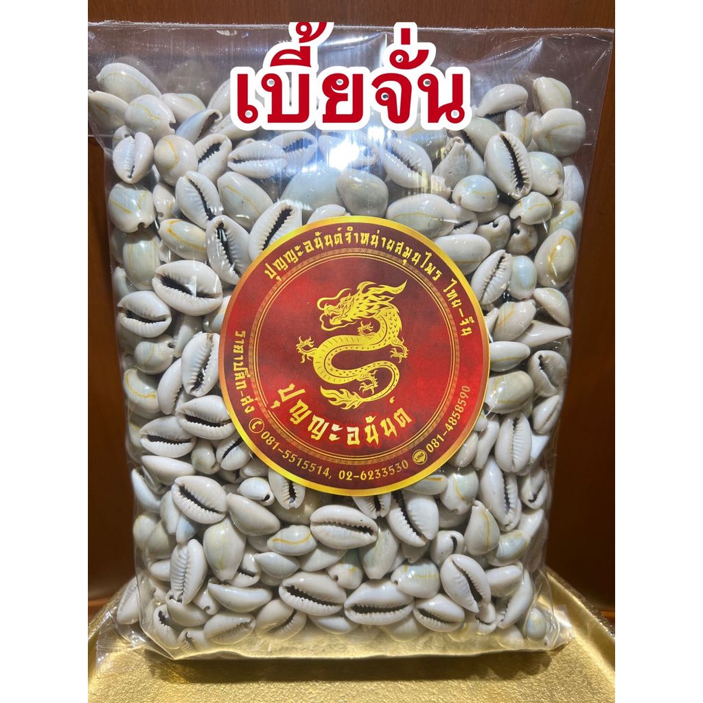 หอยเบี้ย เบี้ยจั่น เบี้ยจั่นหอยเบี้ยคละไซส์ขายยกถุงบรรจุ500กรัมราคา230บาท