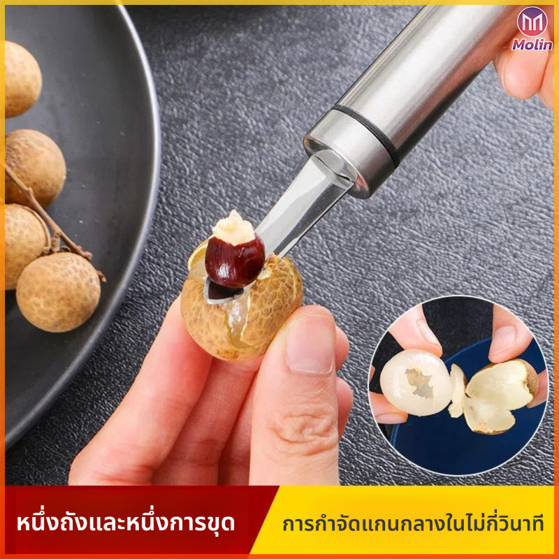 MN เครื่องมือแยกเมล็ดผลไม้สแตนเลส ป้องกันสนิม แยกลำไย ลิ้นจี่ เชอร์รี่ ใช้งานสะดวก รวดเร็ว แบบพกพา