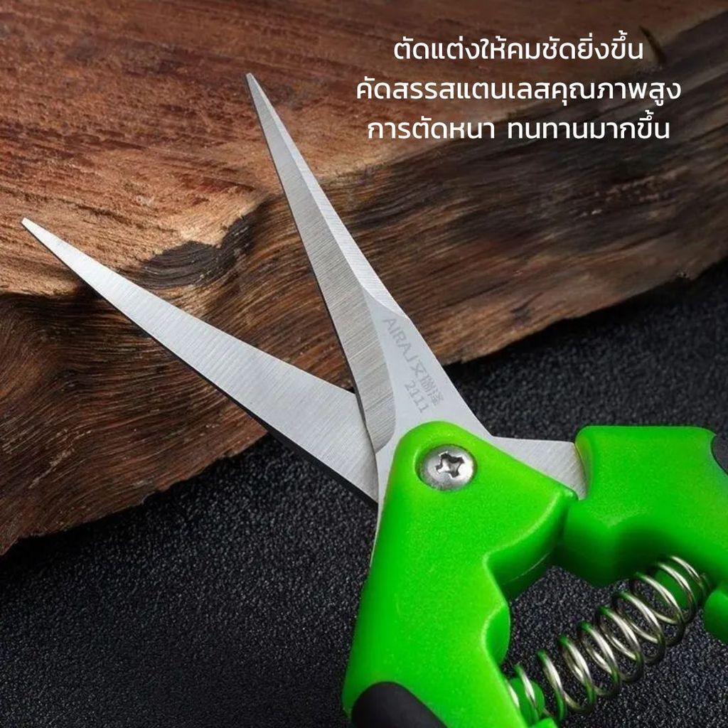 Thumbnail 7