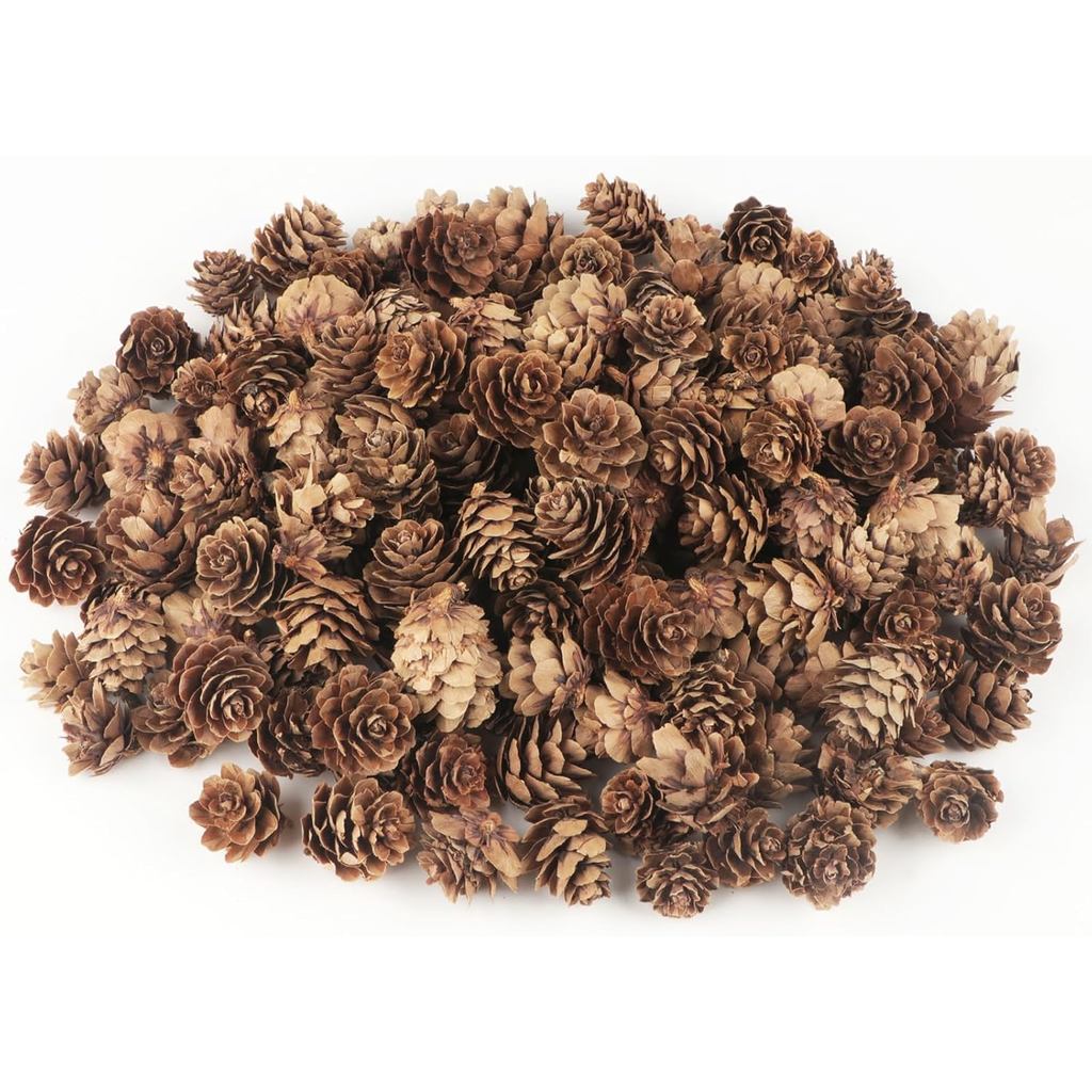 120 ชิ้น Pine Cones ตกแต่ง, ธรรมชาติ Pine Cones Bulk - Mini Pine Cones คริสต์มาส Pine Cones สําหรับต