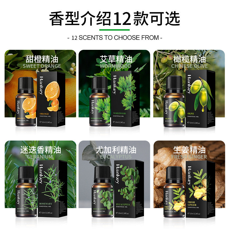 [คลังสินค้าพร้อม] น้ํามันหอมระเหยนวดสะระแหน่ Rose Lavender 10ml น้ํามันหอมระเหย Hanji Plant ภาษาอังก