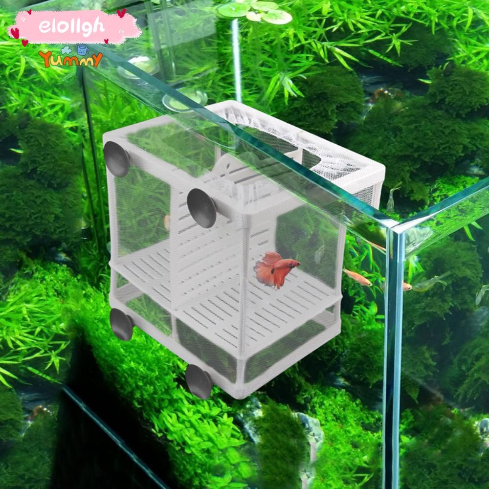 ELOGH Aquarium Incubator Breeder ที่มีประโยชน์ยืดหยุ่น Guppy Hatchery